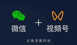 爆料小故事真假千金视频,揭秘视频背后的惊人真相