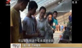 濮阳事件爆料视频最新,视频揭露惊人真相